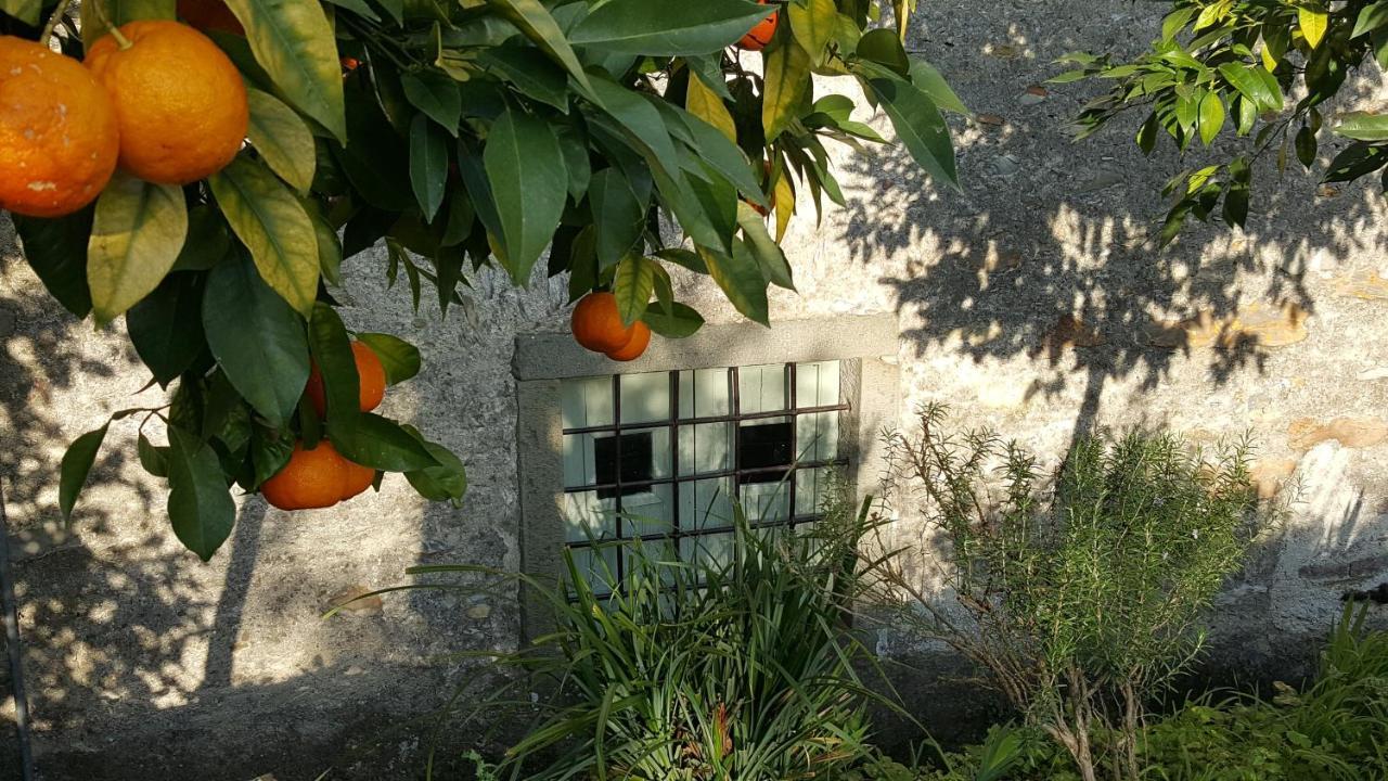 Casale Amati Country House Ortonovo Eksteriør billede